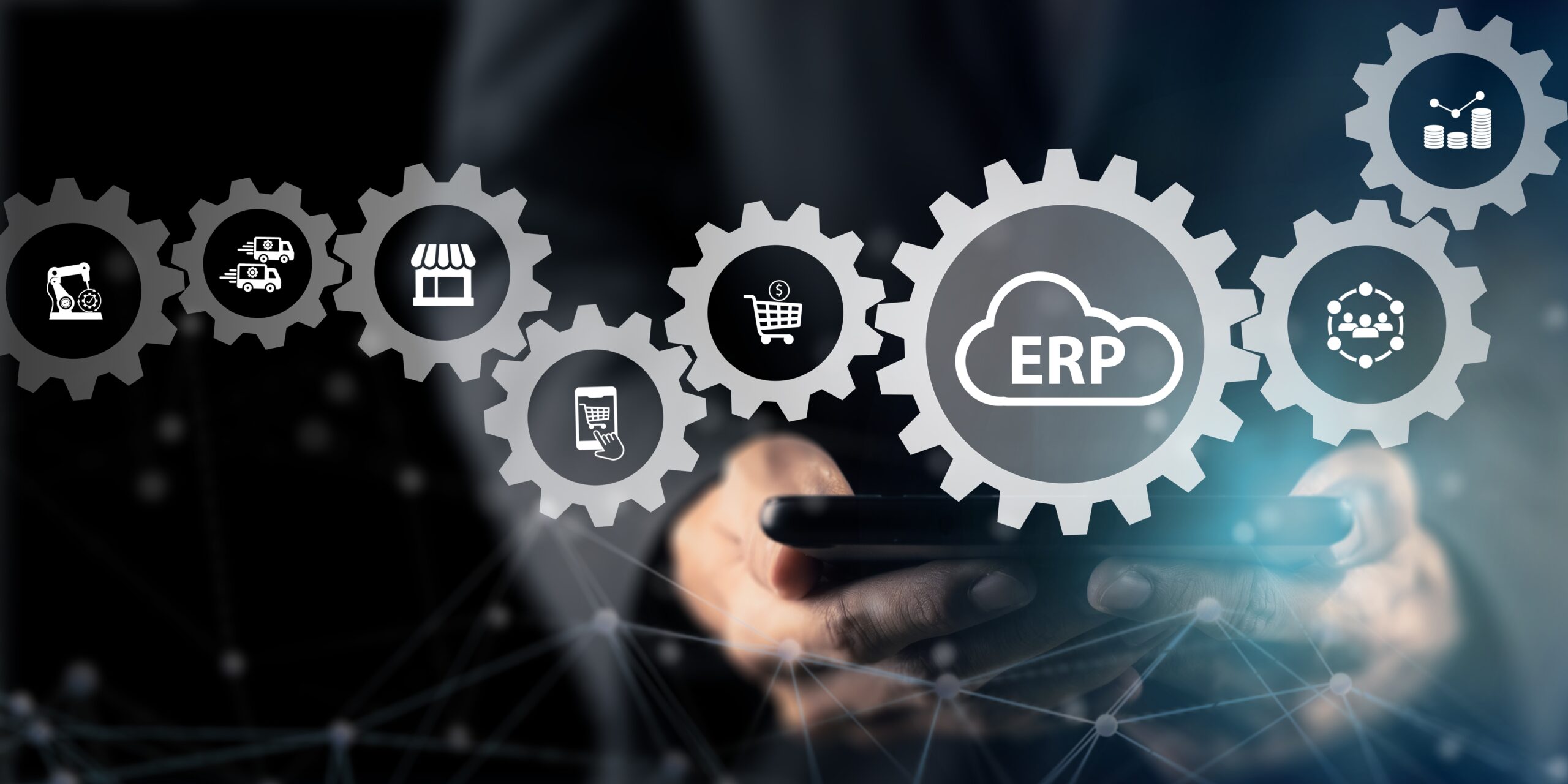 ERP solution providers in India